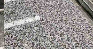 梧州 芙蓉白光面