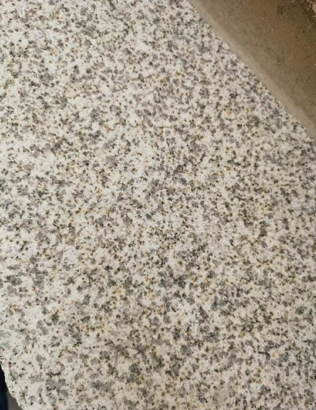 梧州 黄金麻中黄光面