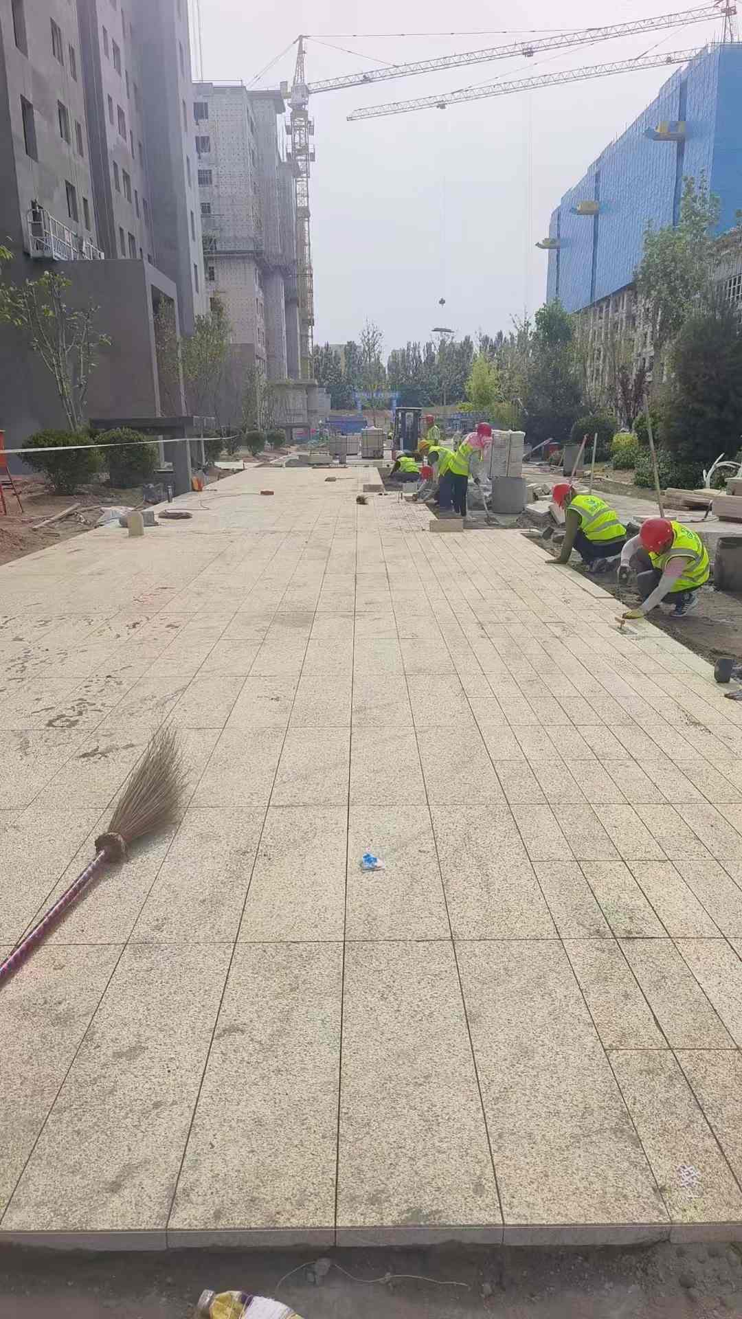 梧州黄金麻荔枝面地铺案例