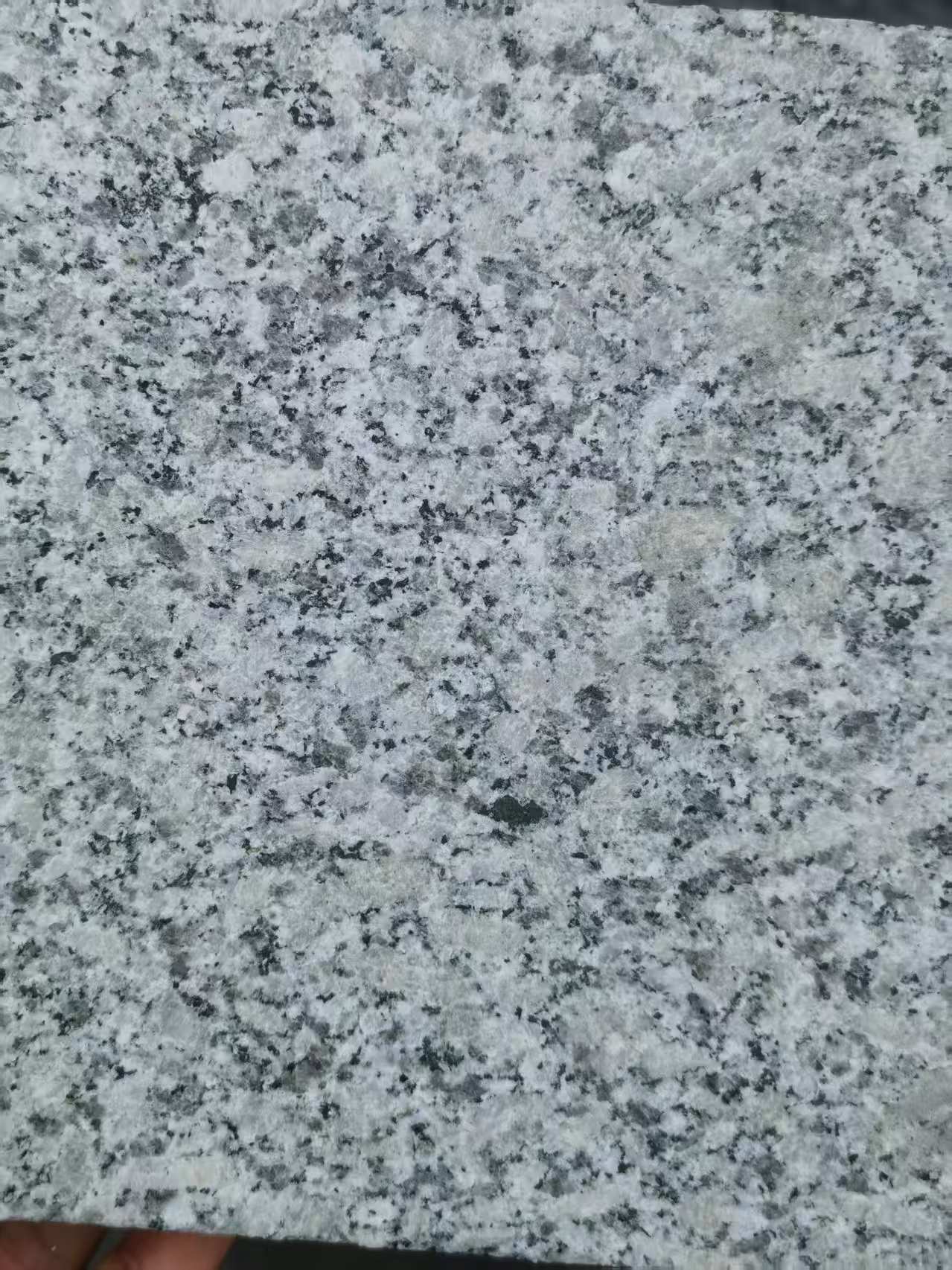 梧州 芙蓉白火烧面
